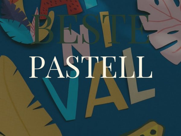 Beste Pastell-Plotterfolien unter 50 € 2026: Top 8 im Vergleich