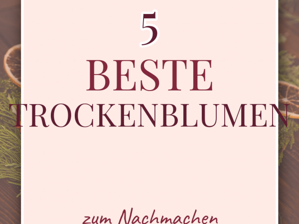 Beste Trockenblumen-DIY-Sets 2026: Top 5 für Kränze + Bouquets