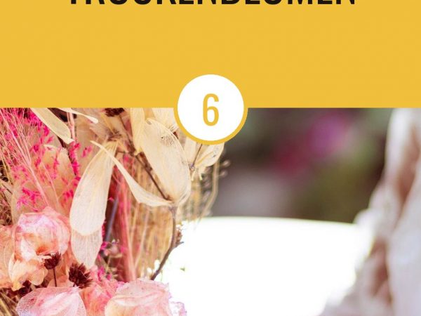 Beste Trockenblumen-Sets 2026: Top 6 für DIY-Bouquets